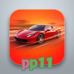 pp11